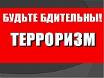 В Свердловской области осудили лжетеррориста